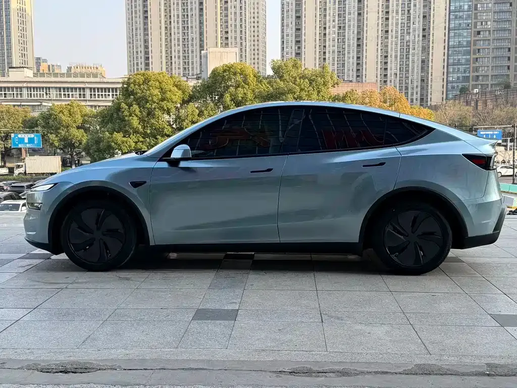 Tesla Model Y — фото 9