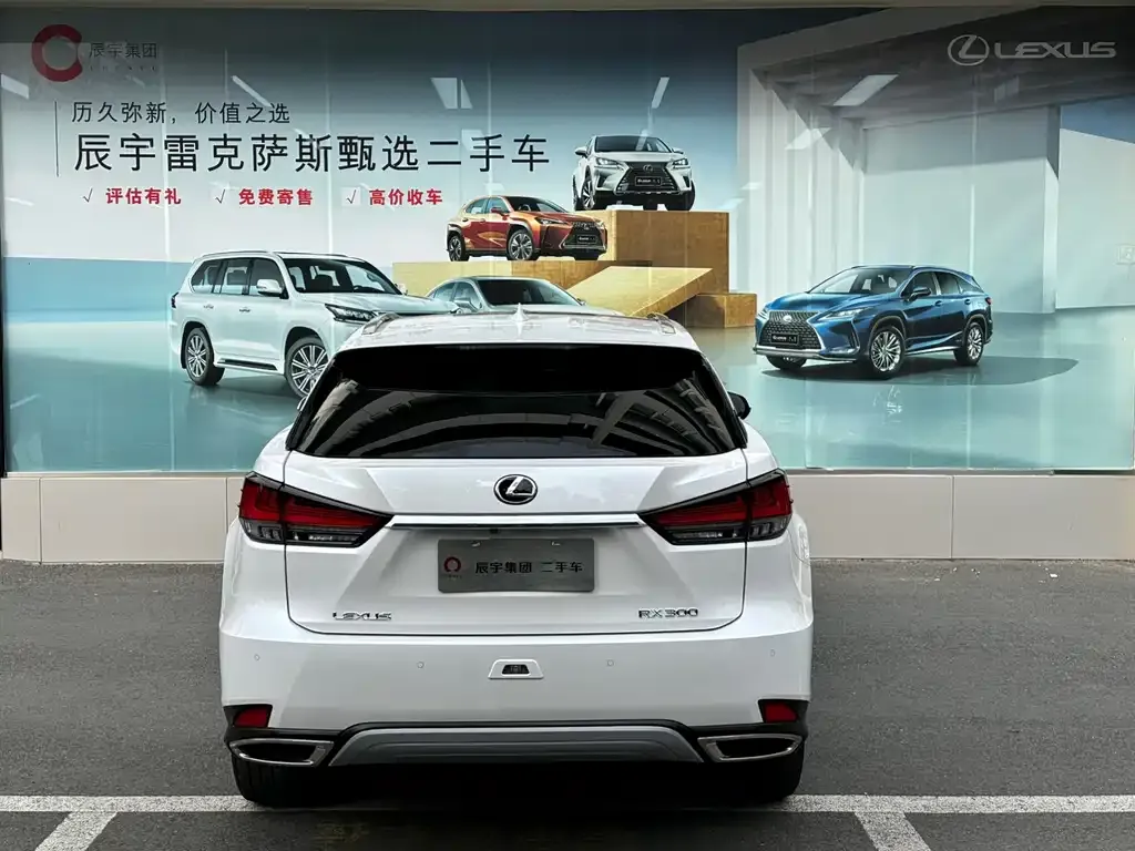 Lexus RX — фото 10