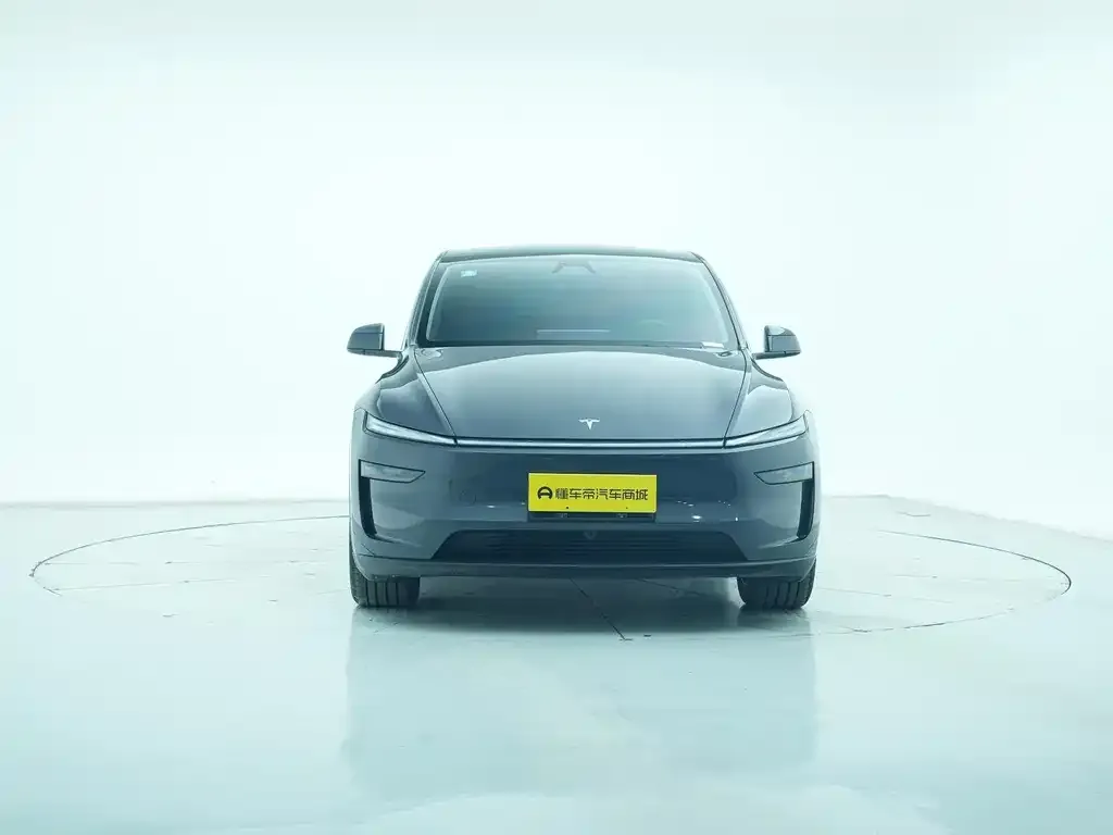 Tesla Model Y 2025 из CN, фото 6