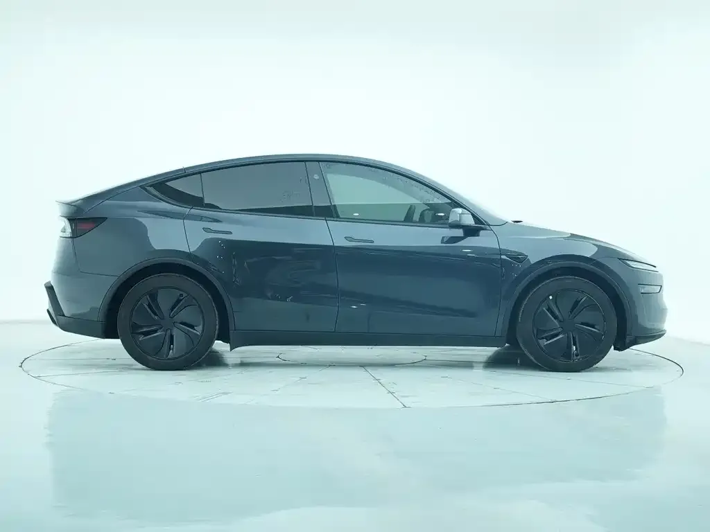 Tesla Model Y 2025 из CN, фото 7