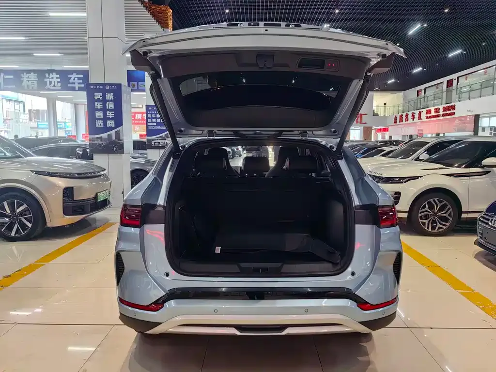 BYD PLUS New Energy 2024 из CN, фото 5