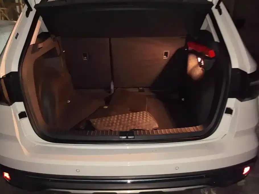 Volkswagen Tharu 2025 из CN, фото 6