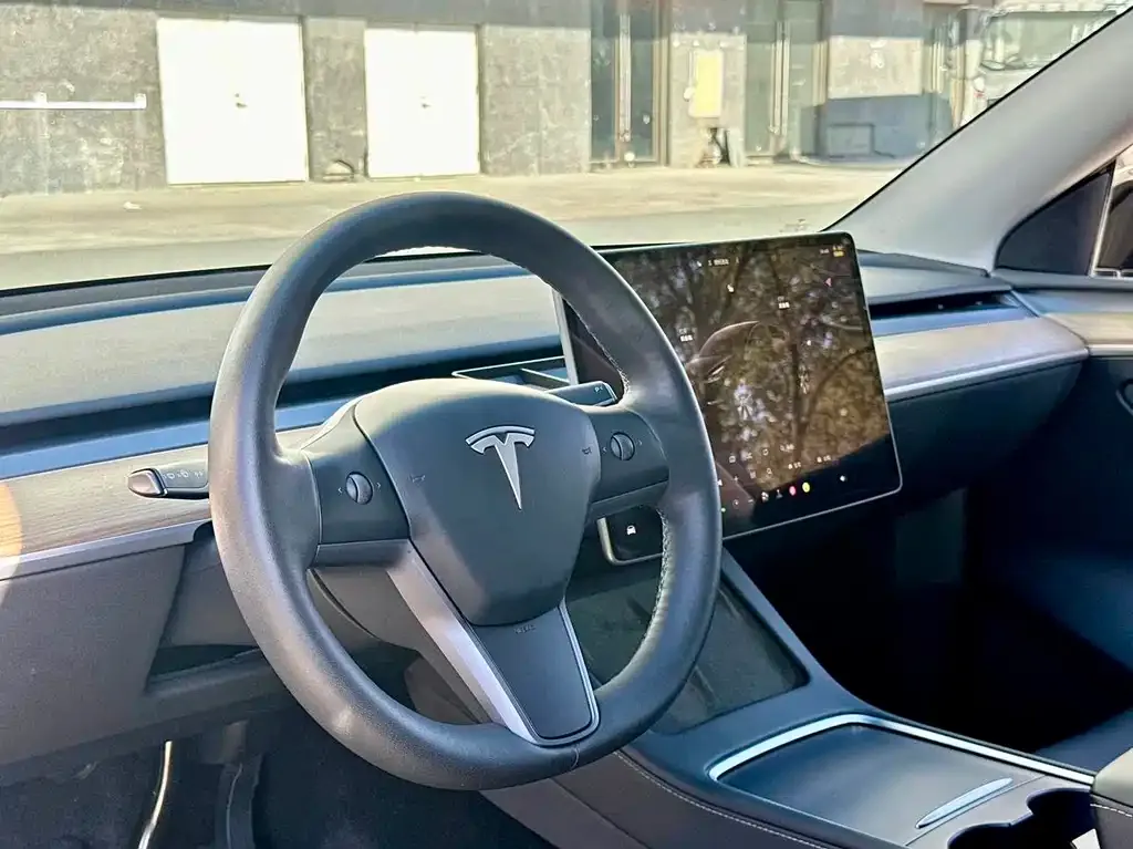Tesla Model Y — фото 2