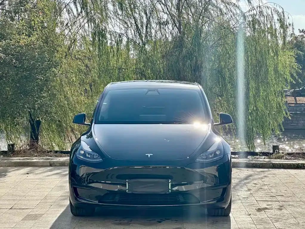 Tesla Model Y — фото 9