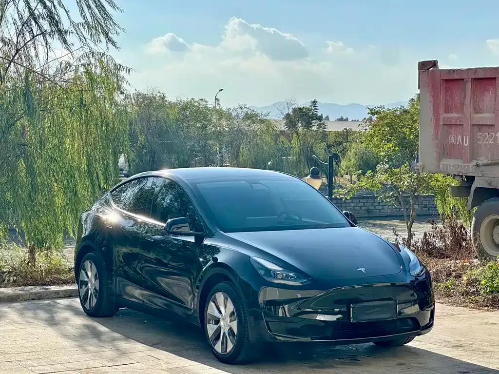 Tesla Model Y — фото 6