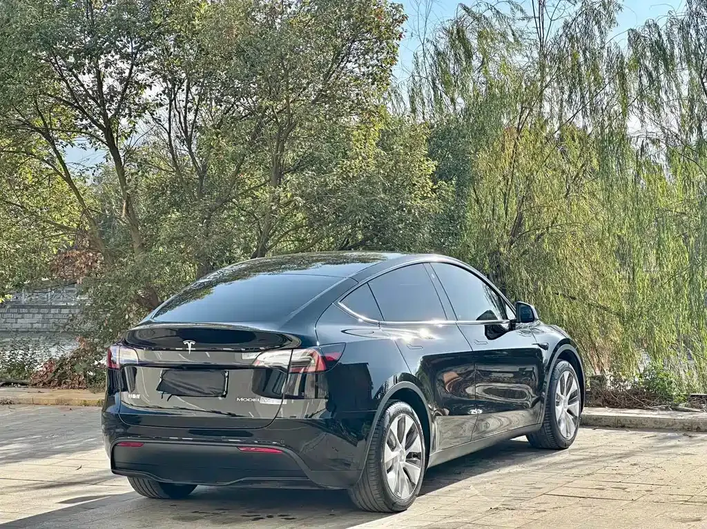 Tesla Model Y — фото 8