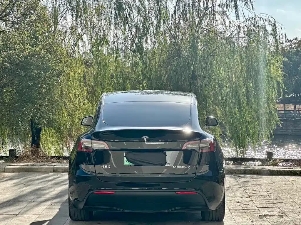 Tesla Model Y — фото 10