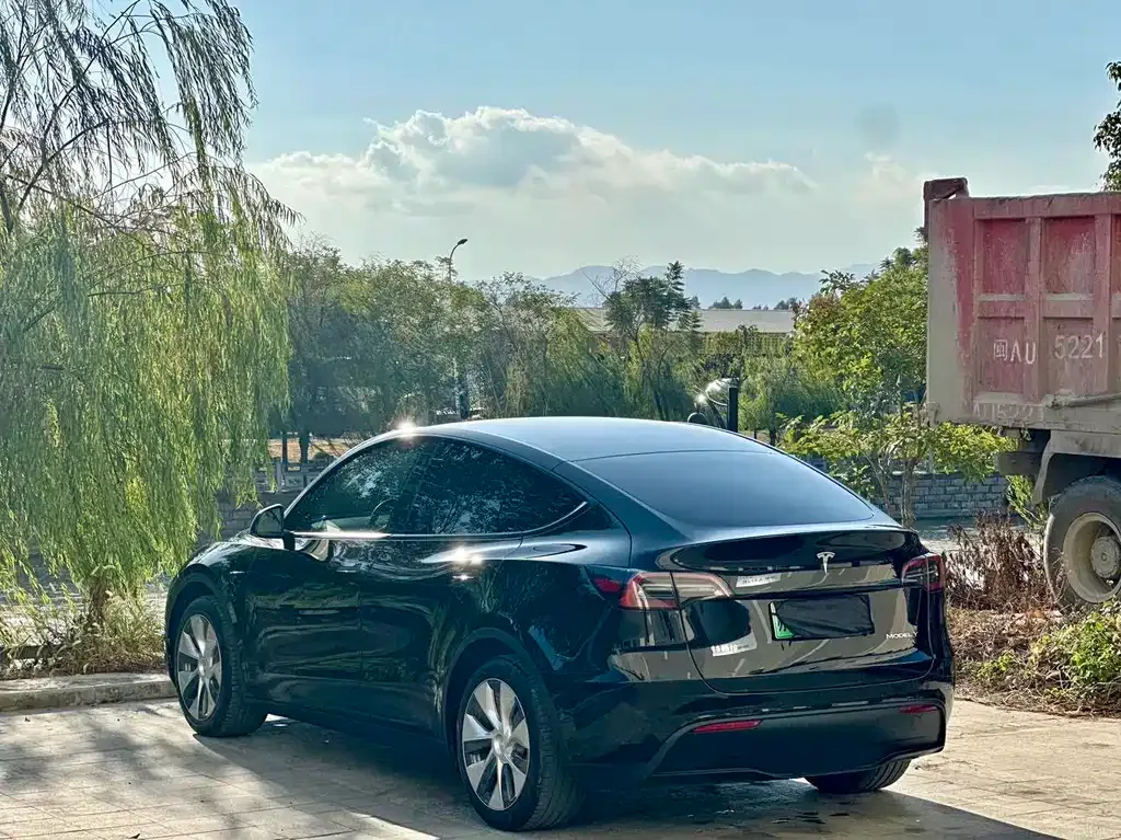 Tesla Model Y — фото 5
