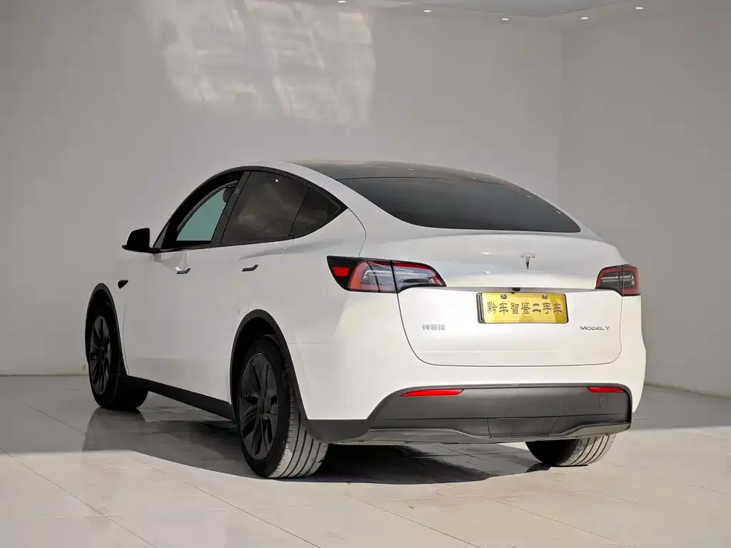 Tesla Model Y — фото 10