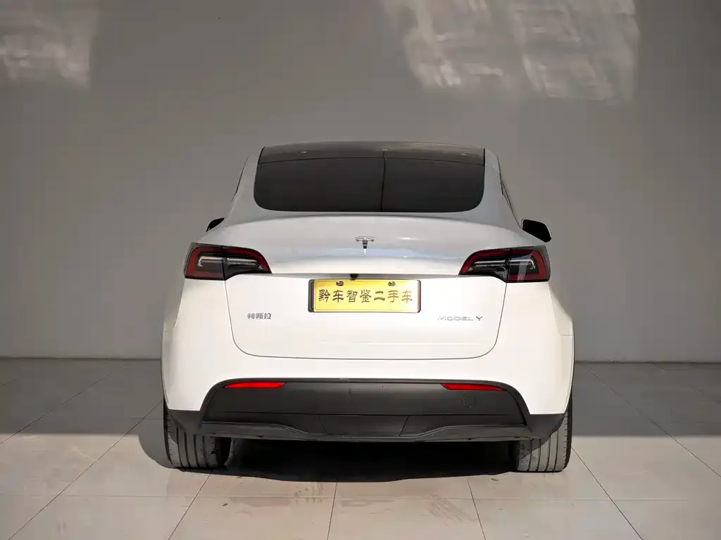 Tesla Model Y — фото 2