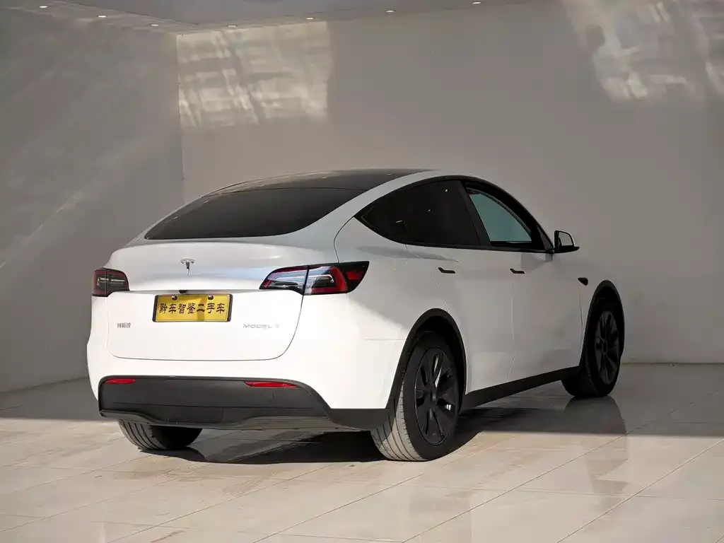 Tesla Model Y — фото 8