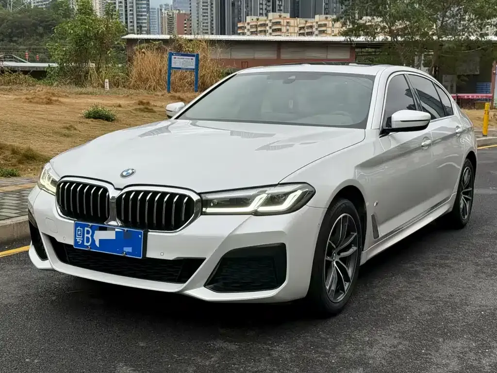 BMW 5 Series 2023 из CN, фото 1