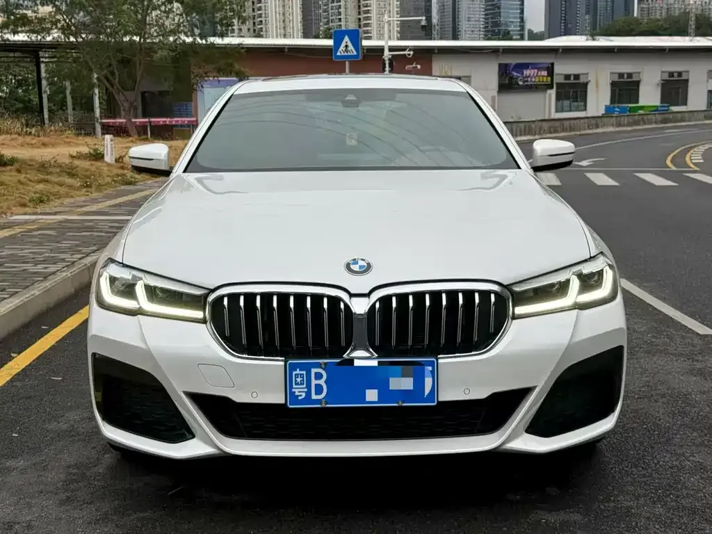 BMW 5 Series 2023 из CN, фото 6
