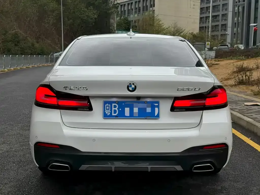 BMW 5 Series 2023 из CN, фото 4