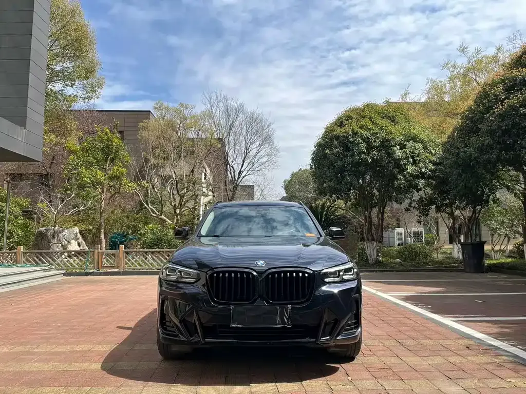BMW X3 — фото 2