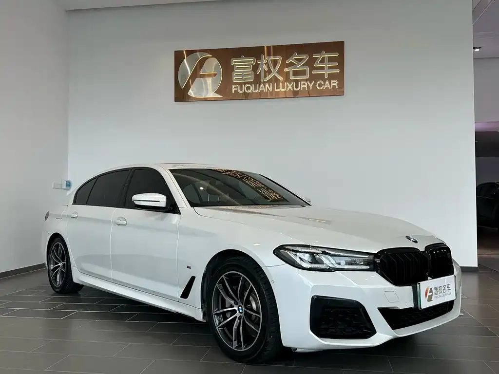 BMW 5 Series New Energy — фото 6
