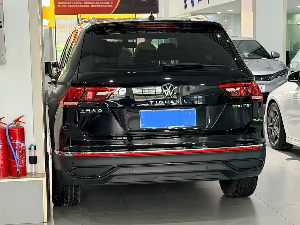 Volkswagen Tiguan L 2025 из CN, фото 3