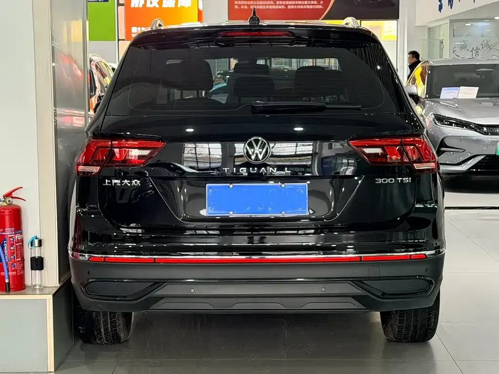 Volkswagen Tiguan L 2025 из CN, фото 4