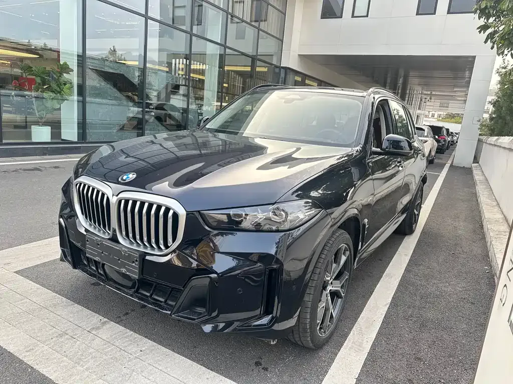 BMW X5 — фото 1