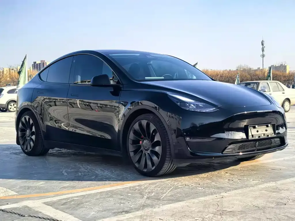Tesla Model Y — фото 4