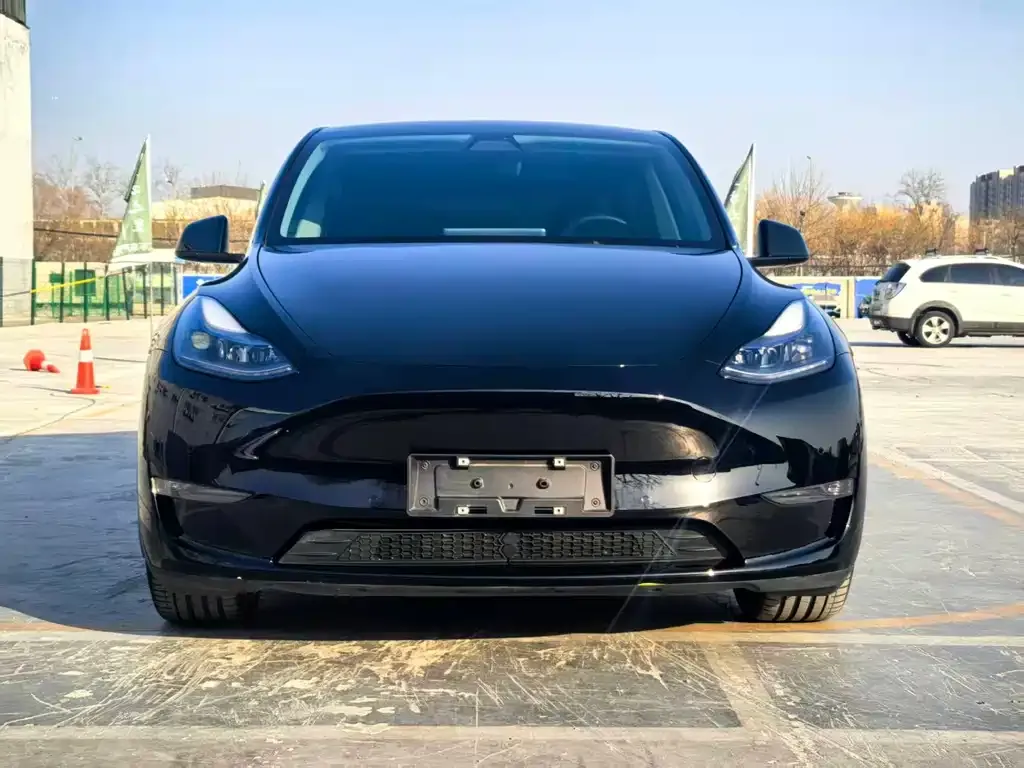 Tesla Model Y — фото 2