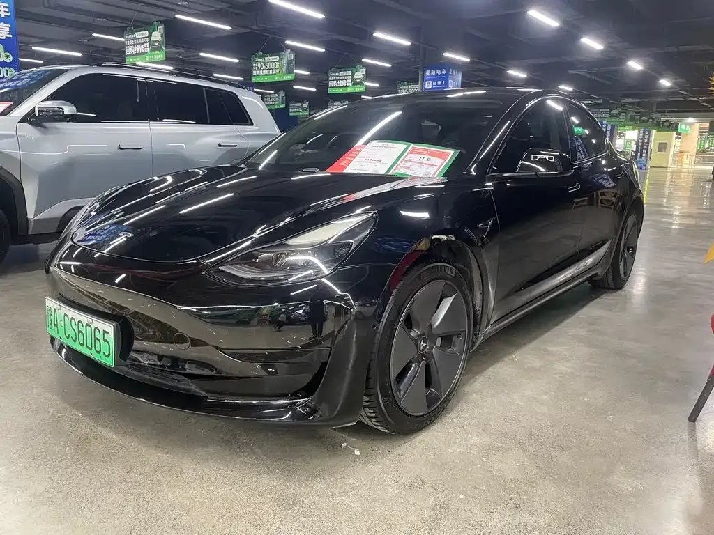 Tesla Model 3 2021 из CN, фото 1