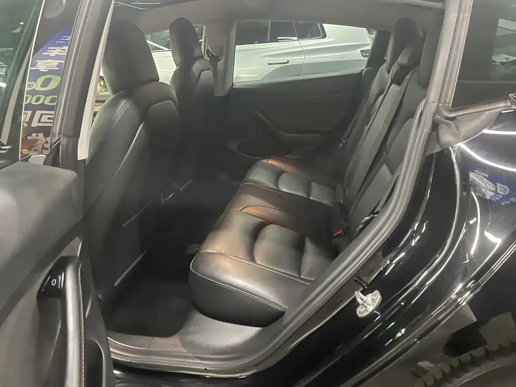 Tesla Model 3 2021 из CN, фото 3