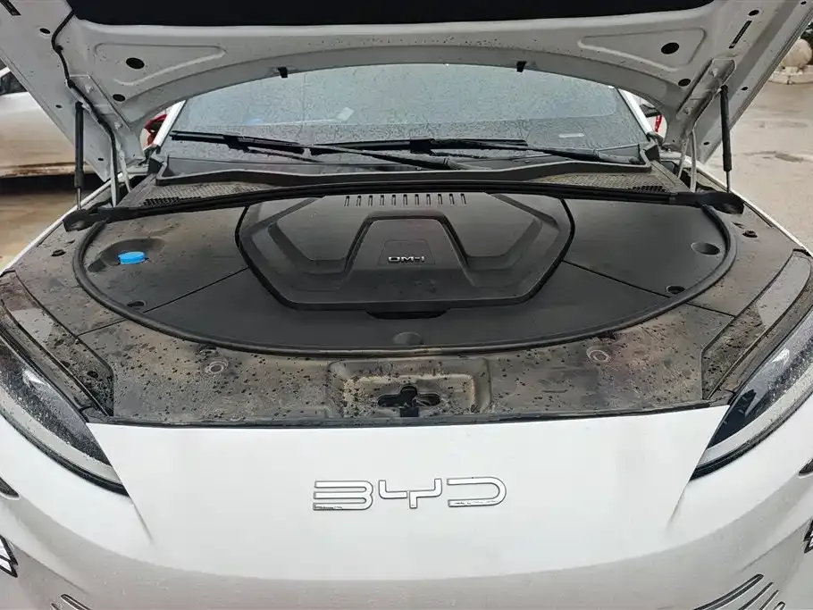 BYD PLUS New Energy — фото 8