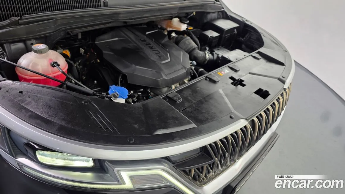 Kia Carnival — фото 10