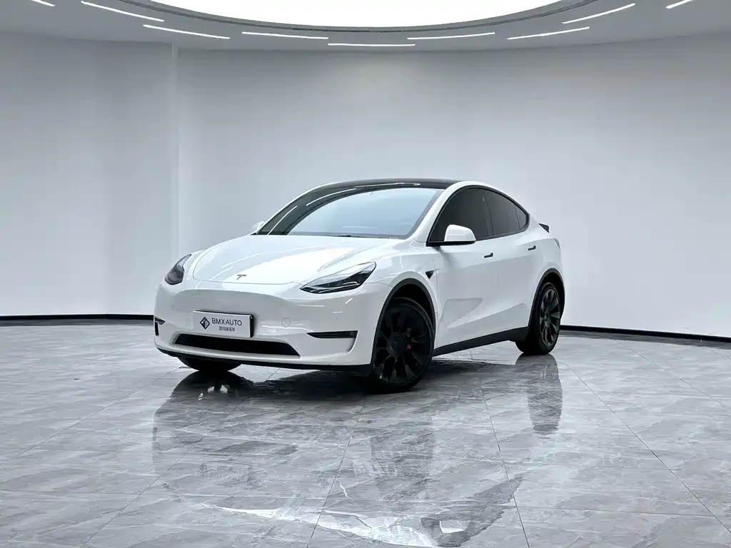 Tesla Model Y — фото 1