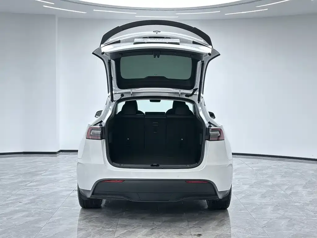 Tesla Model Y — фото 9