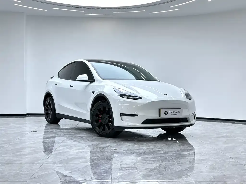 Tesla Model Y — фото 6