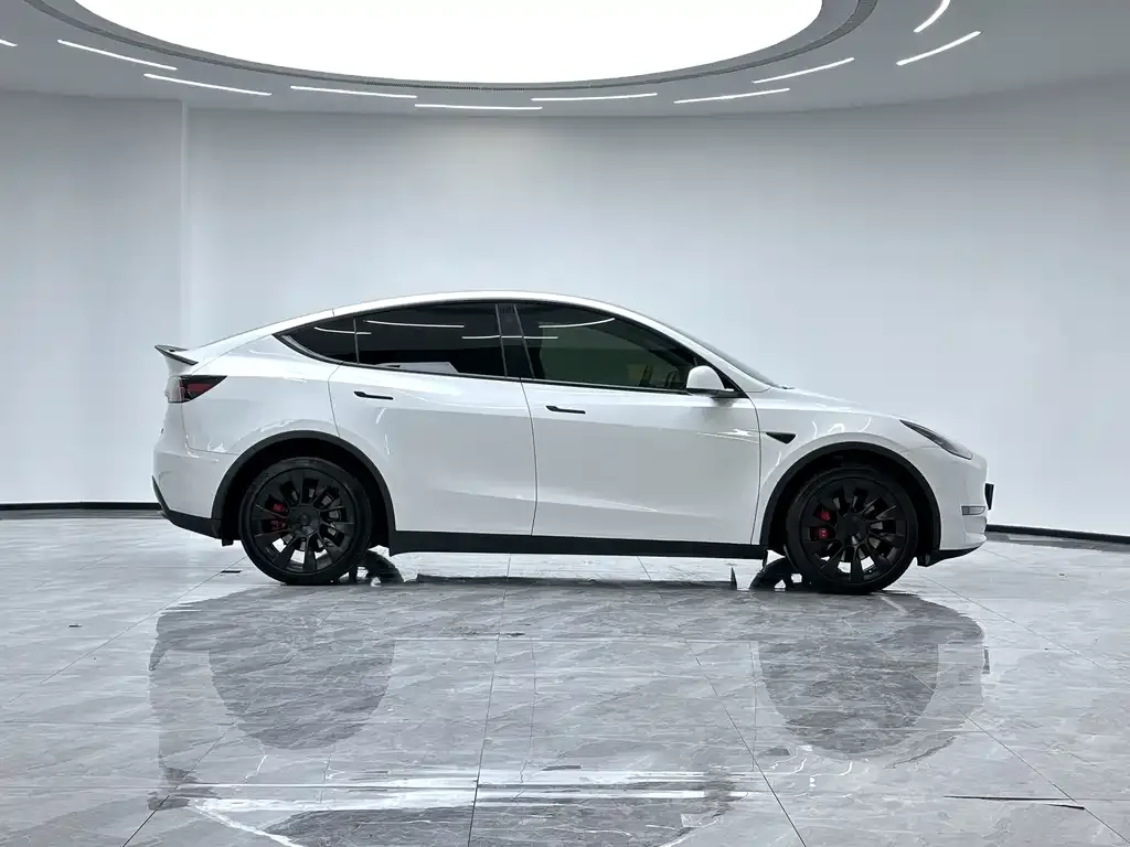 Tesla Model Y — фото 8
