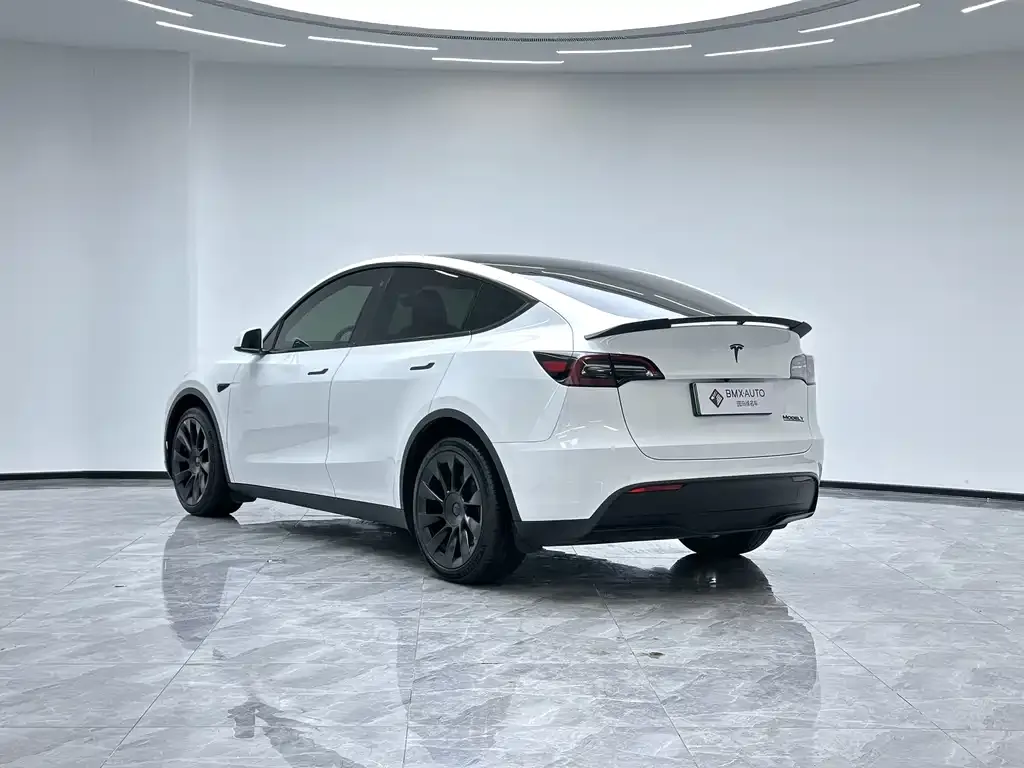 Tesla Model Y — фото 10