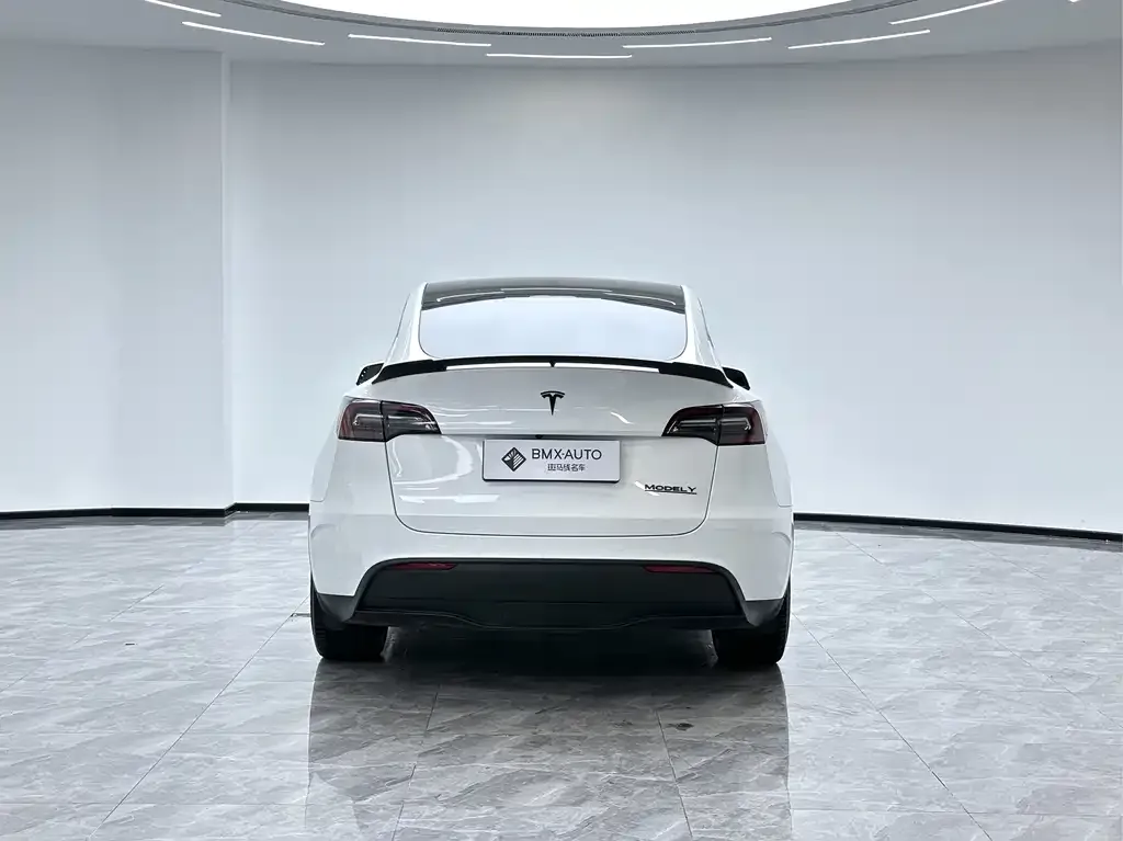 Tesla Model Y — фото 5