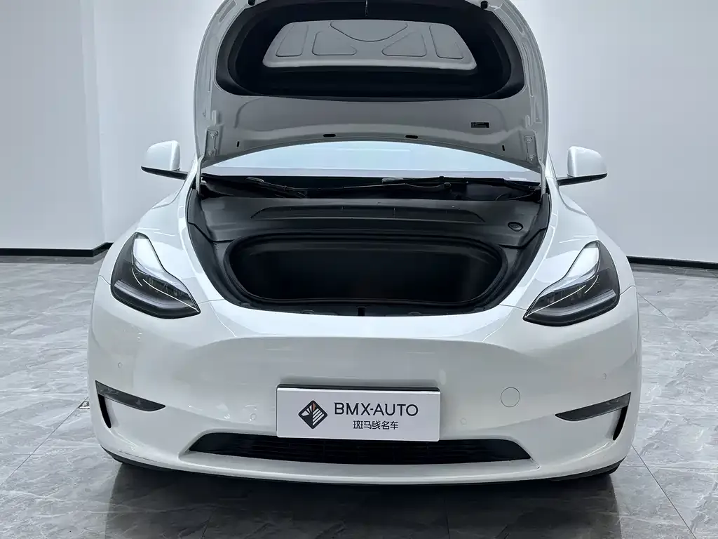 Tesla Model Y — фото 4