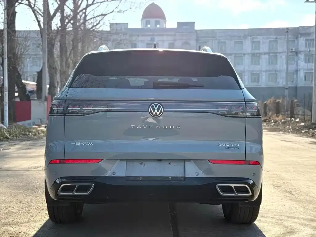 Volkswagen Tavendor 2023 из CN, фото 3