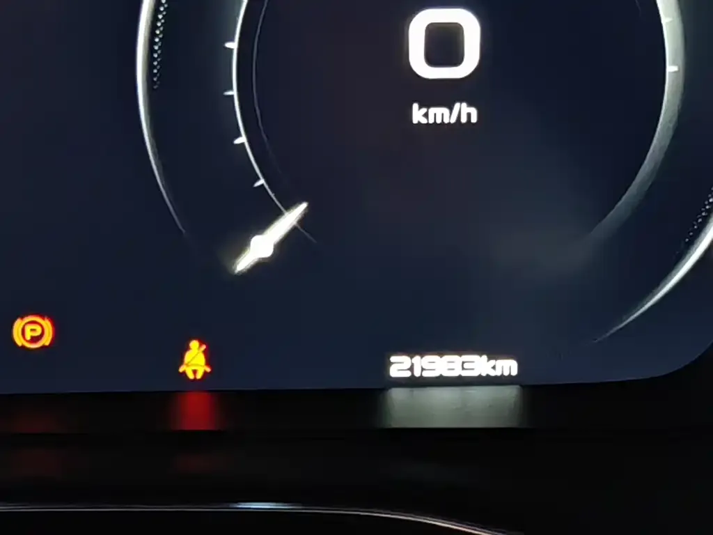Geely Boyue 2021 из CN, фото 3