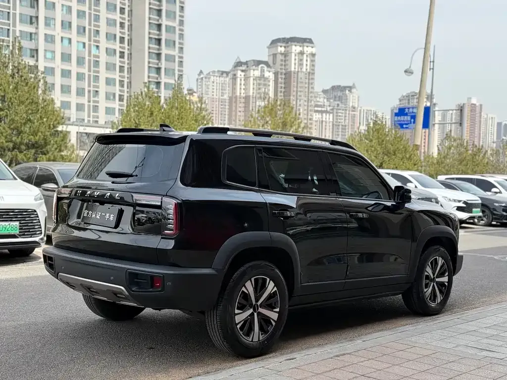 Haval Big Dog — фото 6