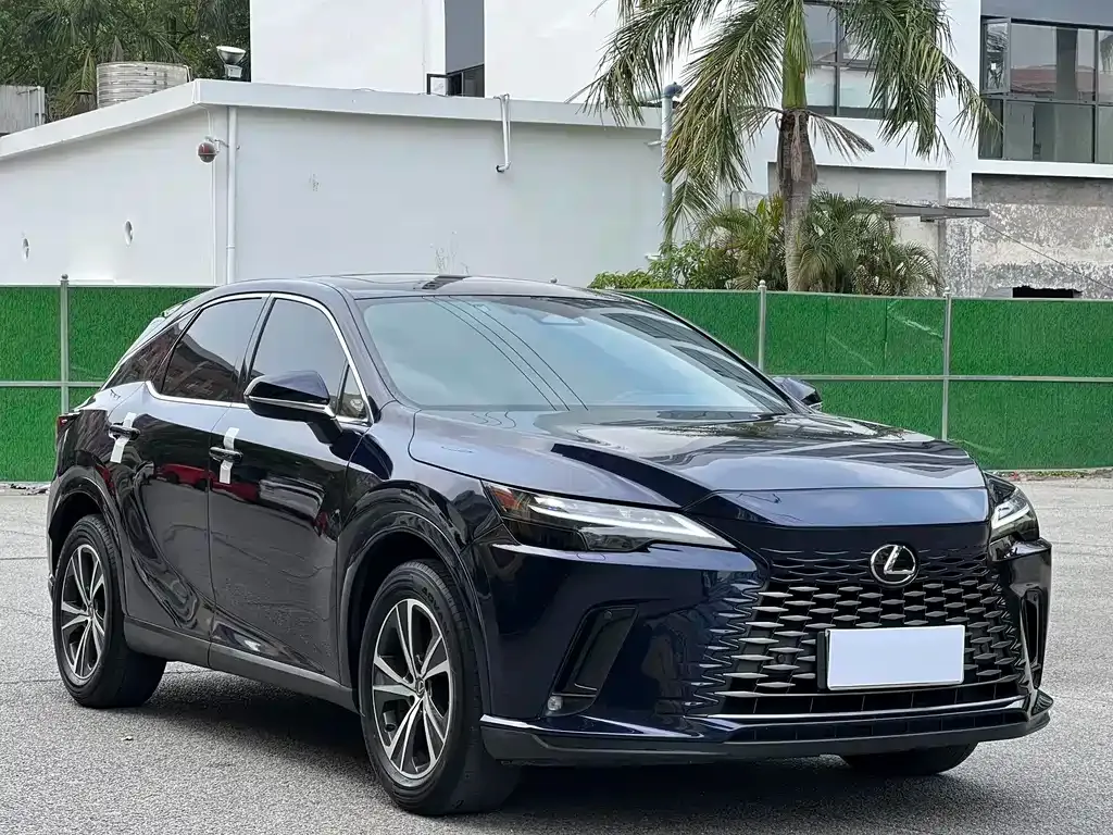 Lexus RX — фото 10