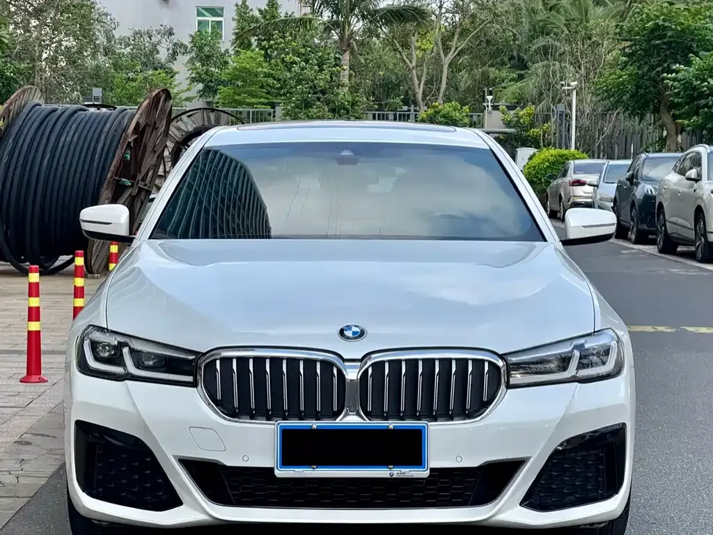 BMW 5 Series 2022 из CN, фото 2