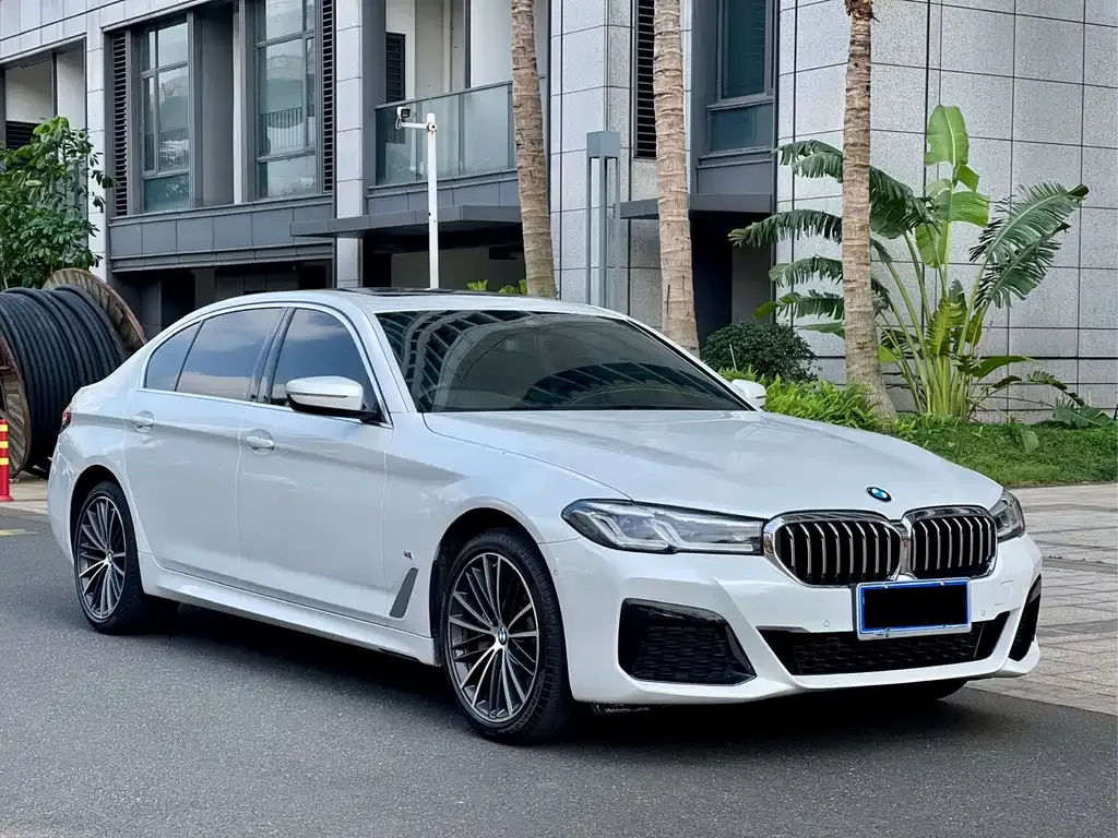 BMW 5 Series 2022 из CN, фото 8