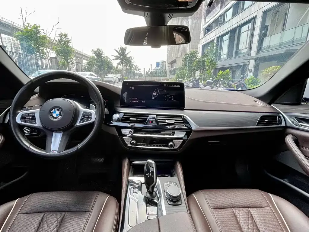BMW 5 Series 2022 из CN, фото 5