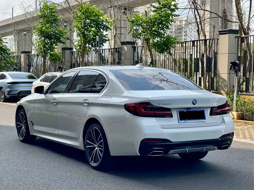 BMW 5 Series 2022 из CN, фото 9