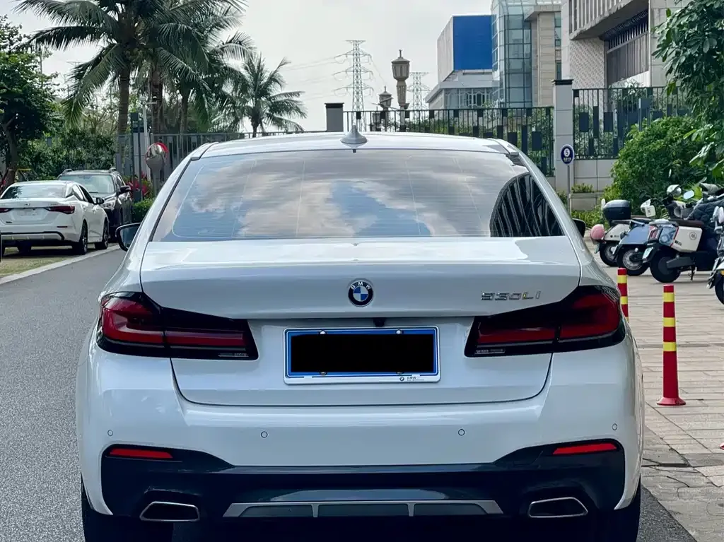 BMW 5 Series 2022 из CN, фото 6