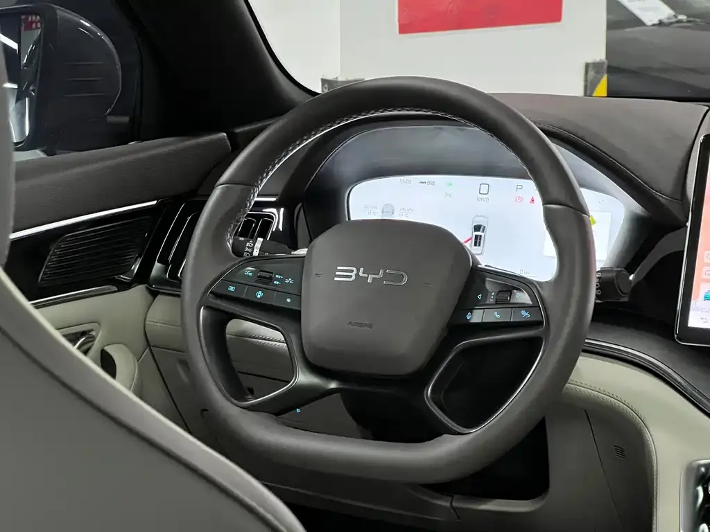 BYD PLUS New Energy 2025 из CN, фото 2