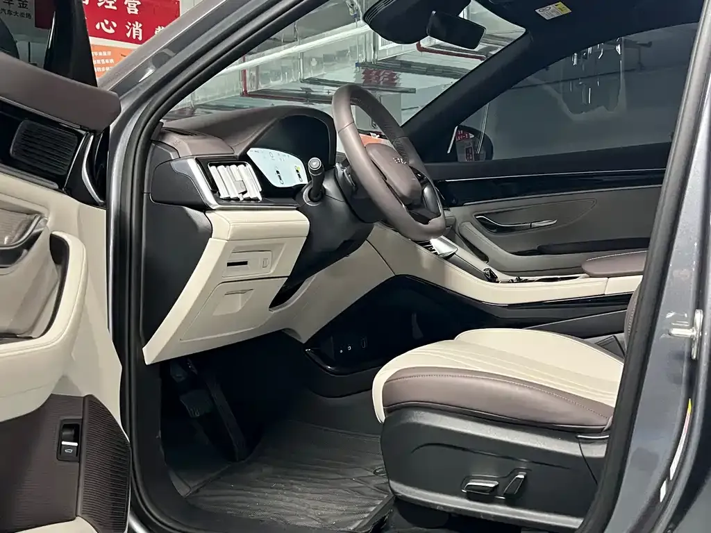 BYD PLUS New Energy 2025 из CN, фото 4