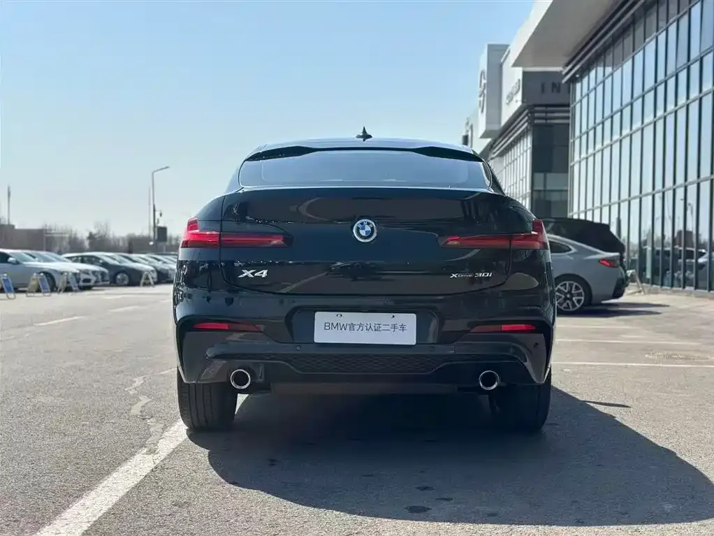 BMW X4 2021 из CN, фото 8