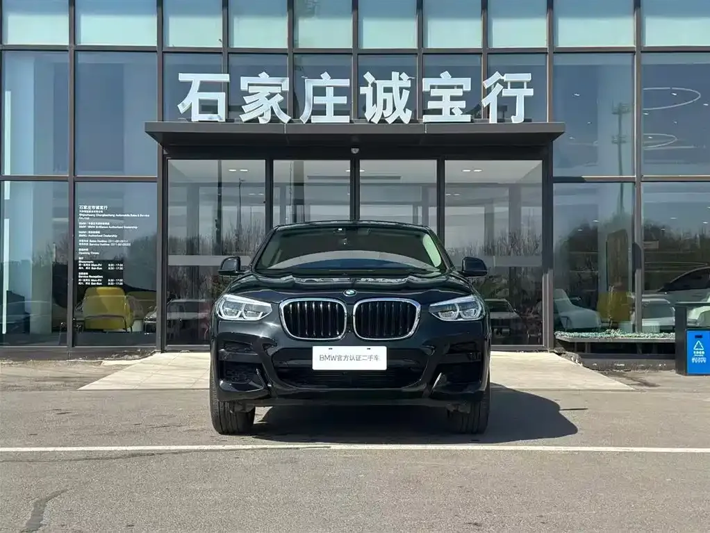 BMW X4 2021 из CN, фото 4