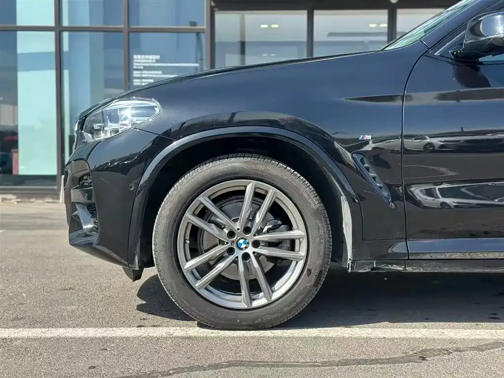 BMW X4 2021 из CN, фото 6